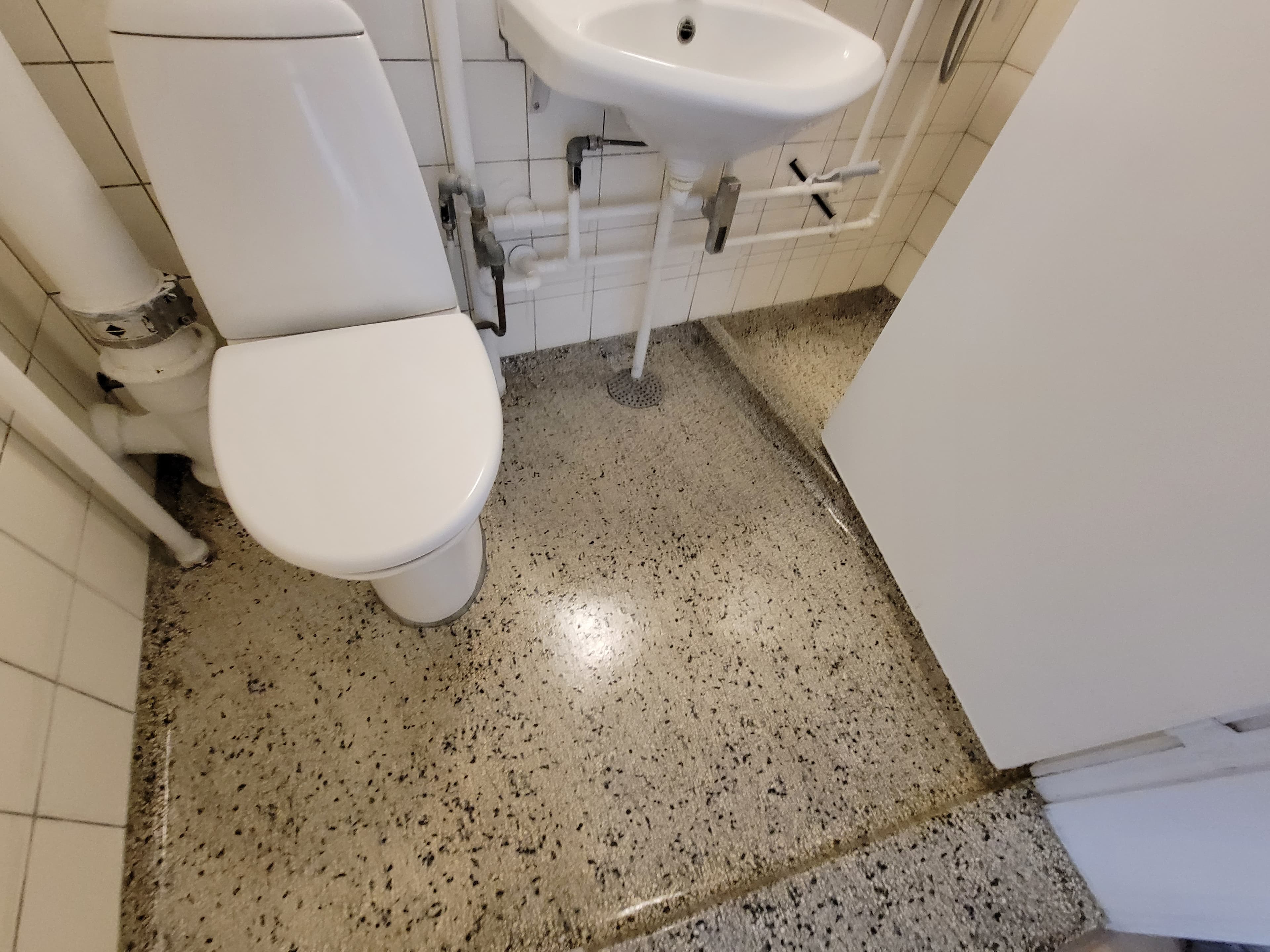 Polished terrazzo floor with high-gloss commercial finish in Montana